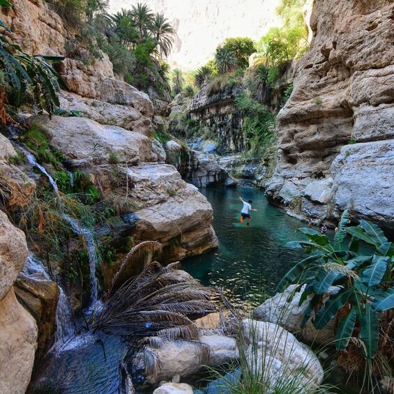 Ein Canyon mit einem Wasserfall, felsigem Gelände und üppiger Vegetation. 1