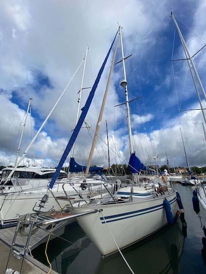 A marina with multiple sailboats docked, featuring masts, sails, and hulls. 3