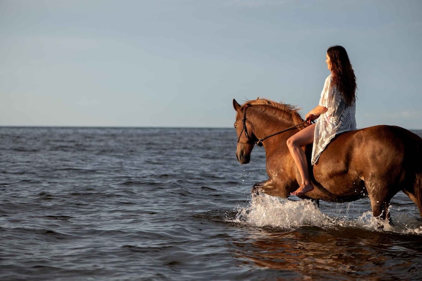 Picture 3 for Activity Waiheke: Private Beach Horseback Ride 5