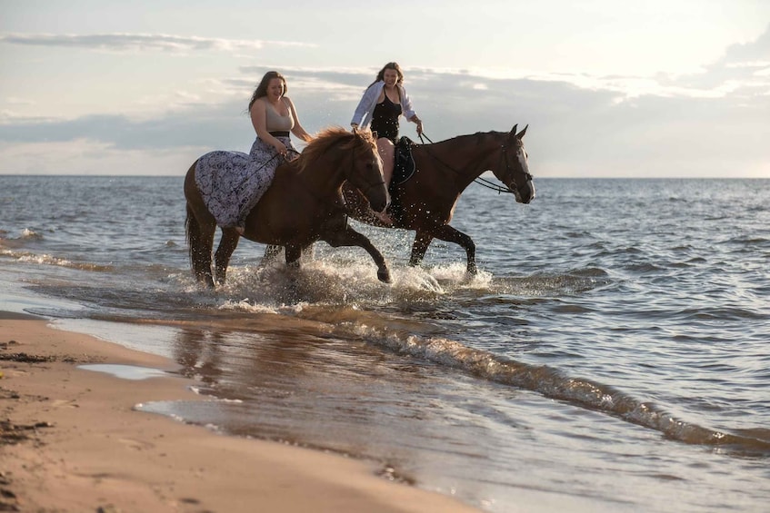 Two people riding horses along a beach shoreline. 5