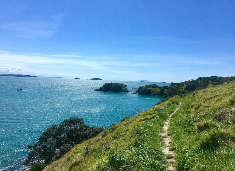 A coastal landscape with a clear sky, a grassy path, and a body of water with a sailboat. 4