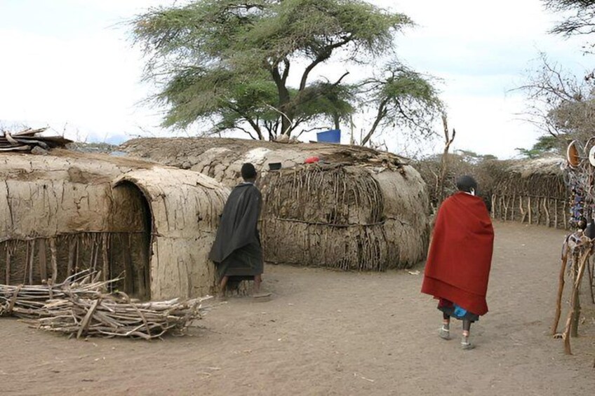 A rural setting with traditional huts, a person in a red garment, and a tree in the background. 5