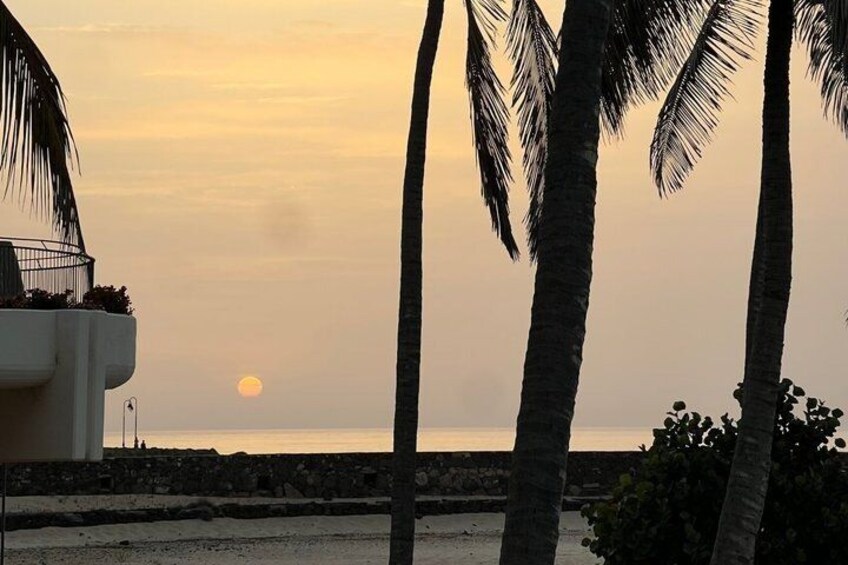A sunset over a beach with palm trees and a stone wall. 3
