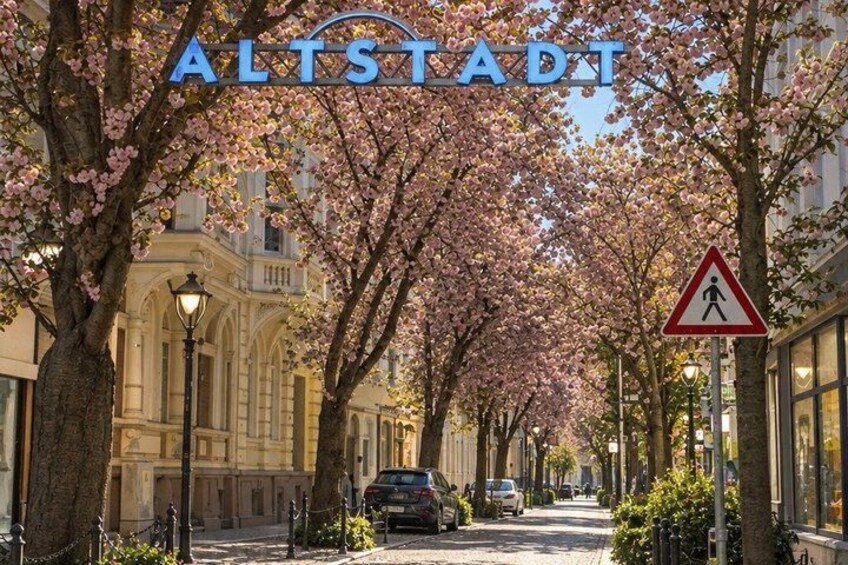 A street lined with cherry blossom trees, a pedestrian crossing sign, and the text 'ALTSTADT' above. 3