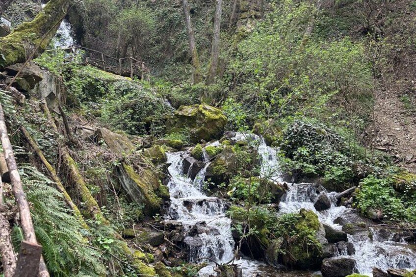 A forested area with a small waterfall and a wooden bridge. 3