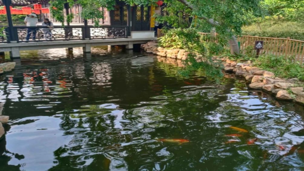 A pond with koi fish, surrounded by rocks and greenery. 2