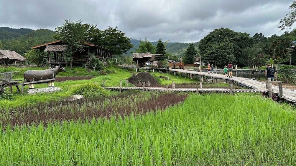 Un paysage rural avec des rizières verdoyantes, un pont en bois et des maisons traditionnelles. 2