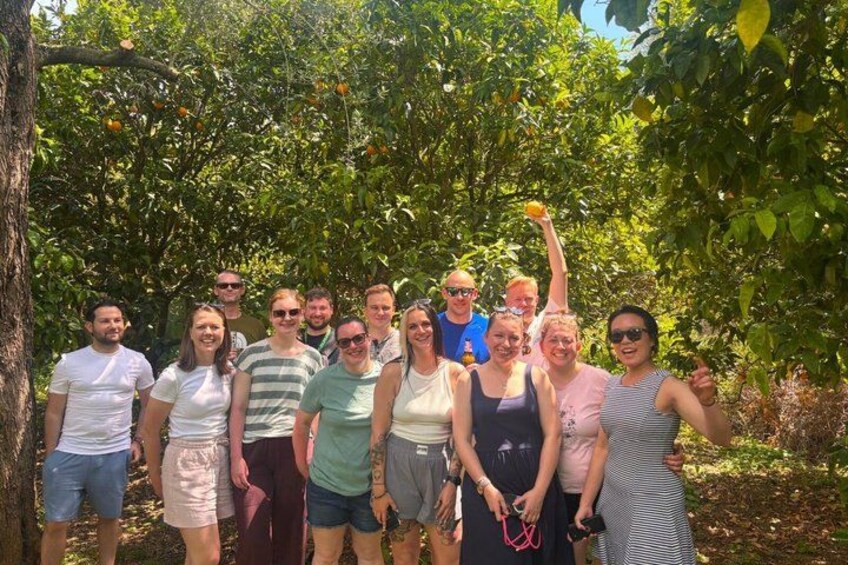 A group of people standing in a citrus orchard. 3