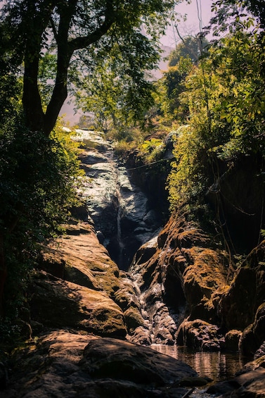 A rocky stream surrounded by dense foliage. 4