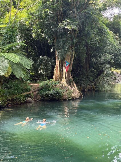 Ein Fluss mit Schwimmern, umgeben von dichtem Grün und einem Baum mit einer Flagge. 2