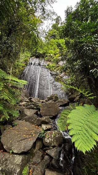 Ein Wasserfall stürzt über Felsen in einem üppigen Wald. 5