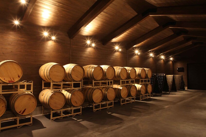 A warehouse with wooden barrels stacked on shelves. 2