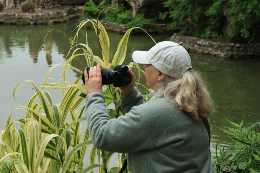 A person taking a photograph of a plant near a body of water. 2