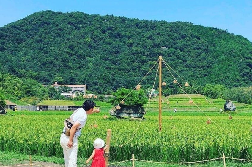 A man in white clothing and a child in a red dress standing in a rice field with a traditional wooden structure in the background. 1