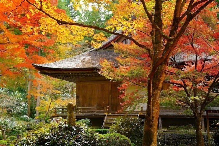 A traditional Japanese building surrounded by autumn foliage. 2