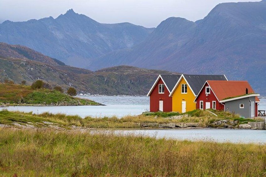 A coastal landscape with three colorful houses, a body of water, and mountains in the background. 1