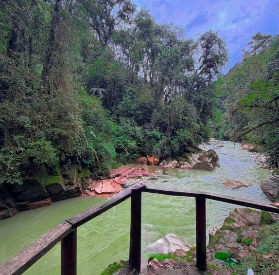 A river flowing through a forested area with a wooden railing in the foreground. 2