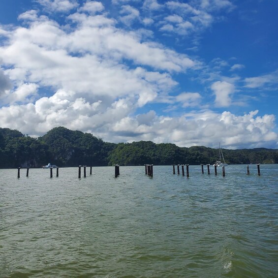 Ein ruhiger See mit Holzpfählen im Wasser, ein Segelboot in der Ferne und ein bewaldeter Hügel im Hintergrund unter einer teils bewölkten Himmel. 2