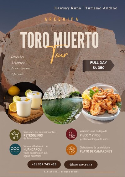 A travel advertisement for a full day tour in Toro Muerto, featuring activities like visiting petroglyphs, a Huancarqui balneario, and enjoying local dishes such as Pisco and Vinos, and a Plat de Camarones. 1