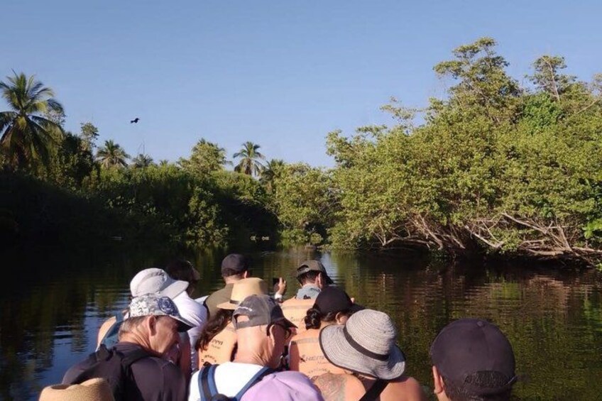 A group of people on a boat, surrounded by dense mangrove trees and a clear sky. 2