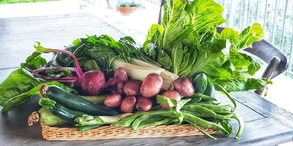 Un panier rempli de légumes frais, notamment des légumes-feuilles, des betteraves, des pommes de terre et des courgettes. 1