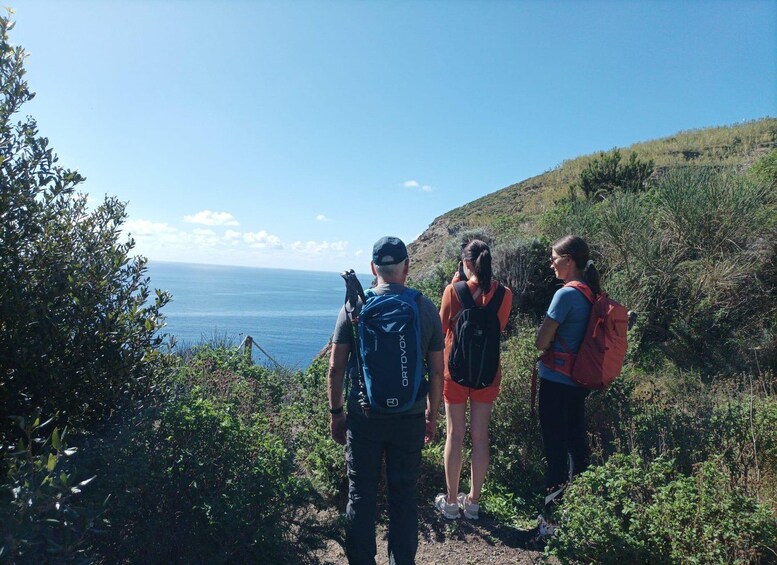 Un grupo de excursionistas en un sendero con vistas al océano. 3