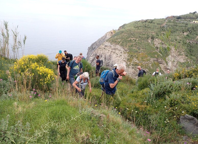 Un grupo de excursionistas en una ladera cubierta de pasto con flores amarillas y un acantilado rocoso al fondo. 5