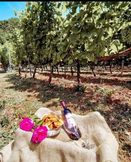 Viñedo con hileras de vides y una preparación para picnic con comida y bebida. 4