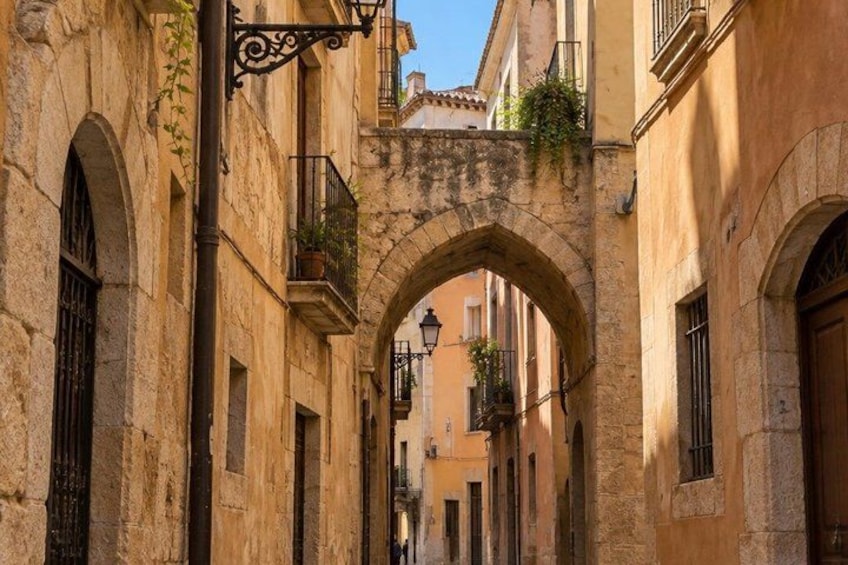 A narrow street with an arched stone bridge, buildings with balconies, and hanging plants. 4