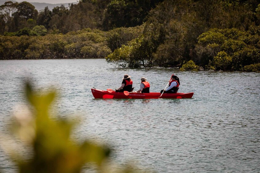 Three people in a red canoe on a calm lake surrounded by dense greenery. 2