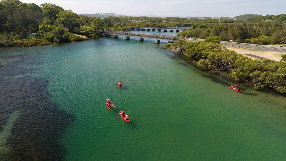 A river with kayaks, a bridge, and surrounding greenery. 1