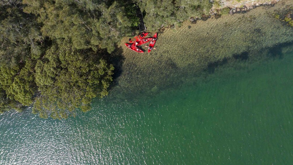 A red canoe with two people on a clear river surrounded by dense forest. 3