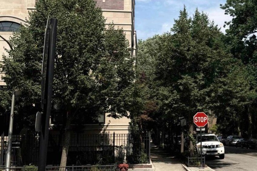 A street with a stop sign, a white car, and trees. 3