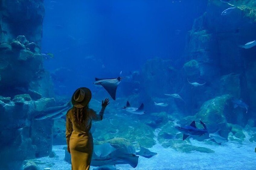 A person in a yellow dress standing in an aquarium, surrounded by various fish and coral formations. 3
