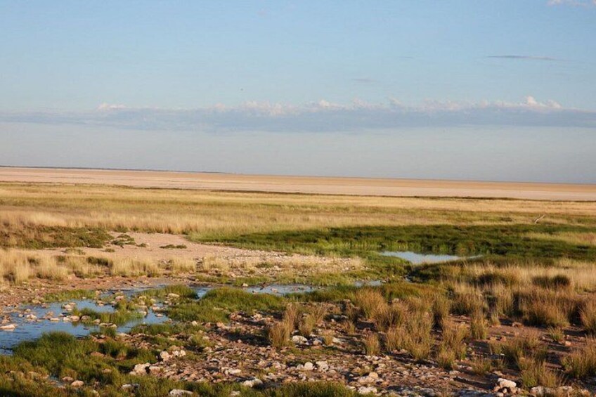 A flat landscape with a stream, grassy areas, and a distant horizon. 2