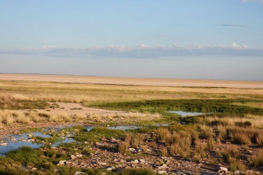 A flat landscape with a water body and sparse vegetation. 2