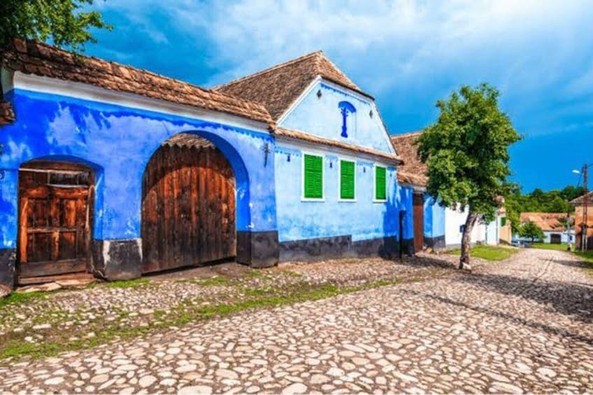 A cobblestone street, a blue building with green shutters, and a tree. 4