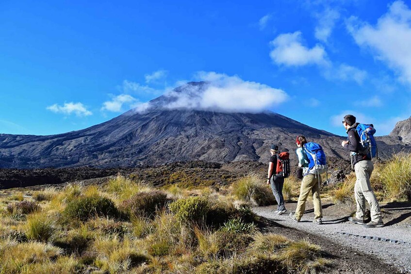 A group of hikers on a trail with a volcano in the background. 5