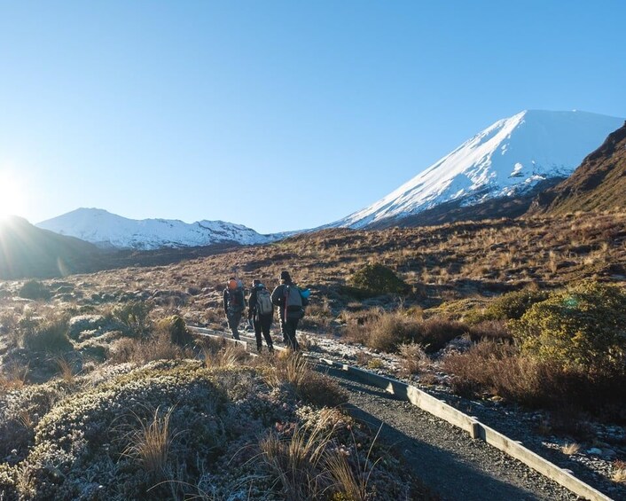A group of hikers on a trail with a snow-capped mountain in the background. 1