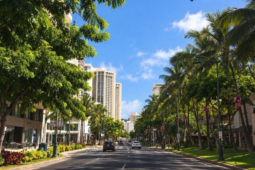 A street lined with palm trees and buildings under a clear sky. 3