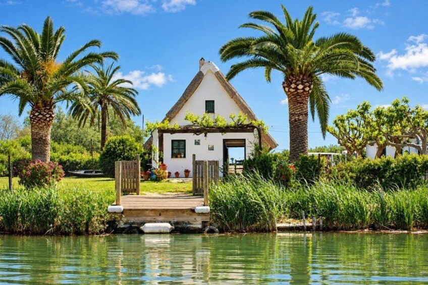 A house with a thatched roof, surrounded by palm trees and a water body. 5