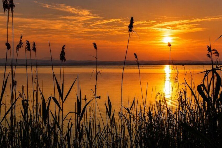 A sunset over a calm lake with tall grasses in the foreground. 1