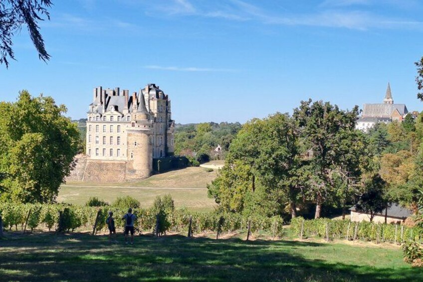 A castle, a church, and a vineyard. 2