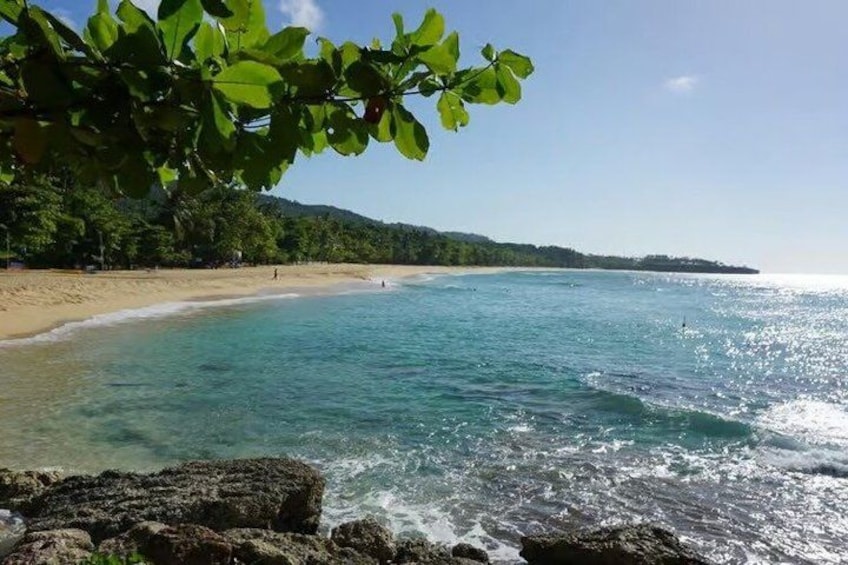 A beach with clear turquoise water, sandy shore, and green foliage. 3