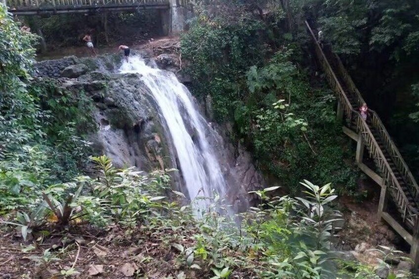 A waterfall, a wooden staircase, and dense greenery. 2