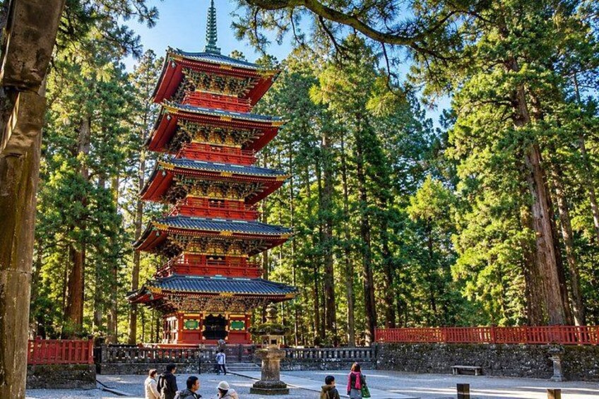 A multi-tiered pagoda surrounded by tall trees. 4