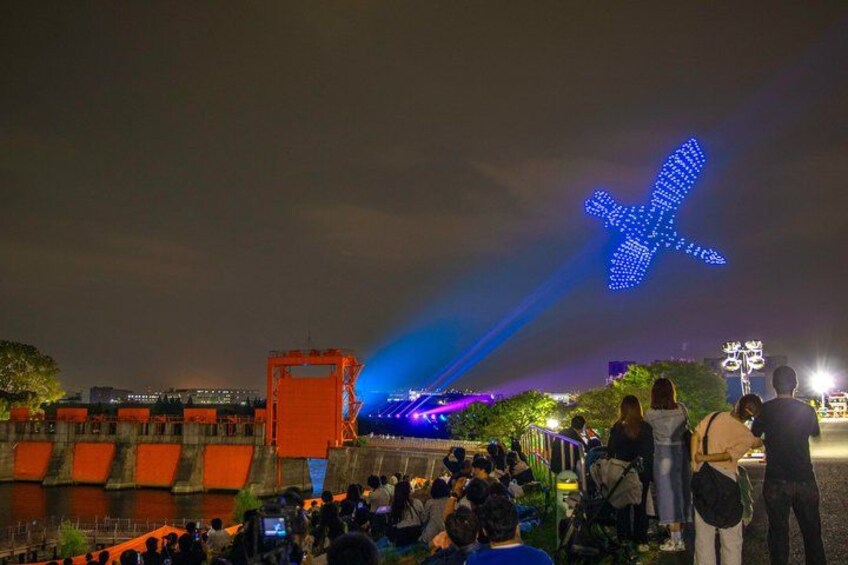 A crowd watching a light show with a large illuminated X shape. 5