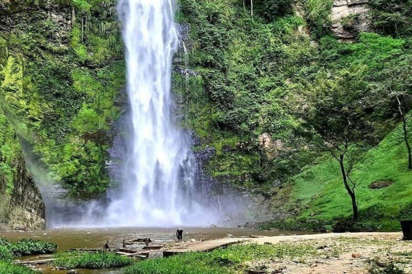 A waterfall cascading down a lush green hillside. 5