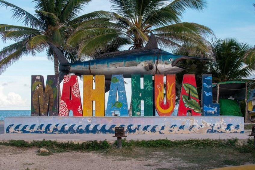 A colorful sign with the word 'MAHAUI' and a shark illustration. 1