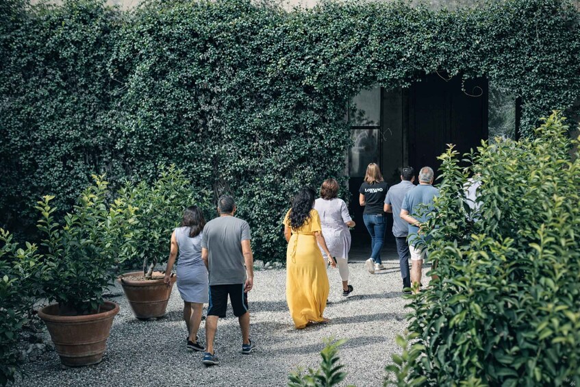 Un groupe de personnes se promène dans un jardin où la végétation est luxuriante et où l’on trouve de nombreuses plantes en pot. 2
